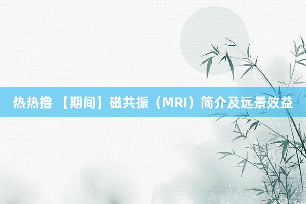 热热撸 【期间】磁共振(MRI)简介及远景效益