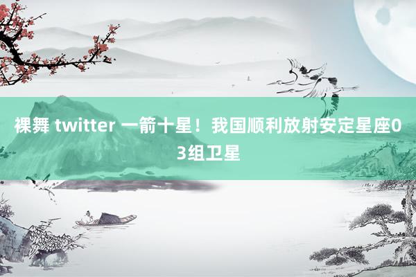 裸舞 twitter 一箭十星！我国顺利放射安定星座03组卫星