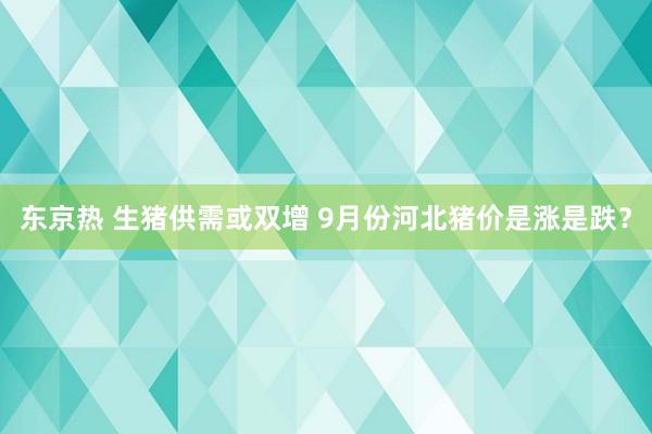 东京热 生猪供需或双增 9月份河北猪价是涨是跌？