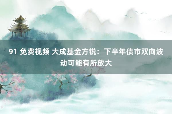 91 免费视频 大成基金方锐：下半年债市双向波动可能有所放大