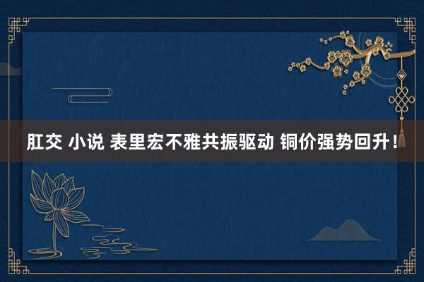 肛交 小说 表里宏不雅共振驱动 铜价强势回升！