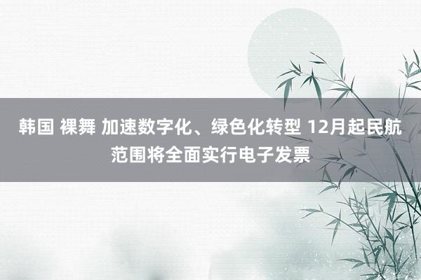 韩国 裸舞 加速数字化、绿色化转型 12月起民航范围将全面实行电子发票