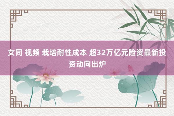 女同 视频 栽培耐性成本 超32万亿元险资最新投资动向出炉