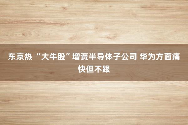 东京热 “大牛股”增资半导体子公司 华为方面痛快但不跟