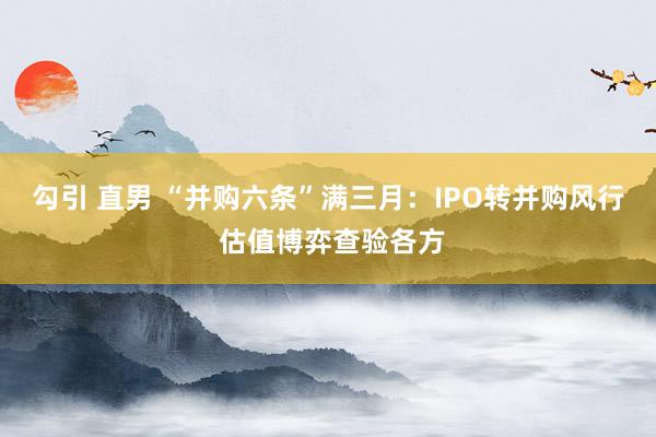 勾引 直男 “并购六条”满三月：IPO转并购风行 估值博弈查验各方