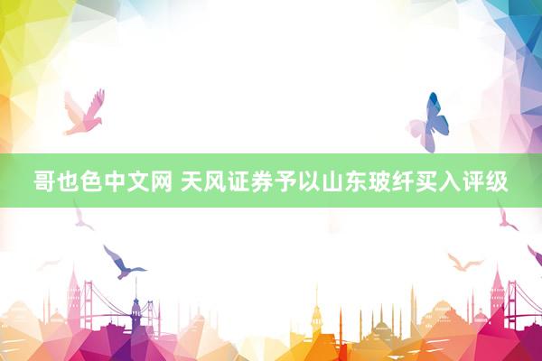 哥也色中文网 天风证券予以山东玻纤买入评级