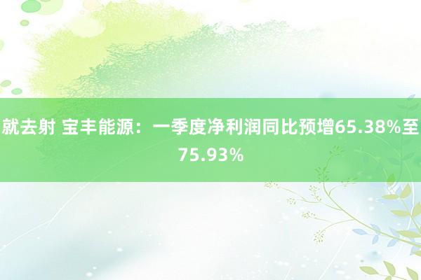 就去射 宝丰能源：一季度净利润同比预增65.38%至75.93%